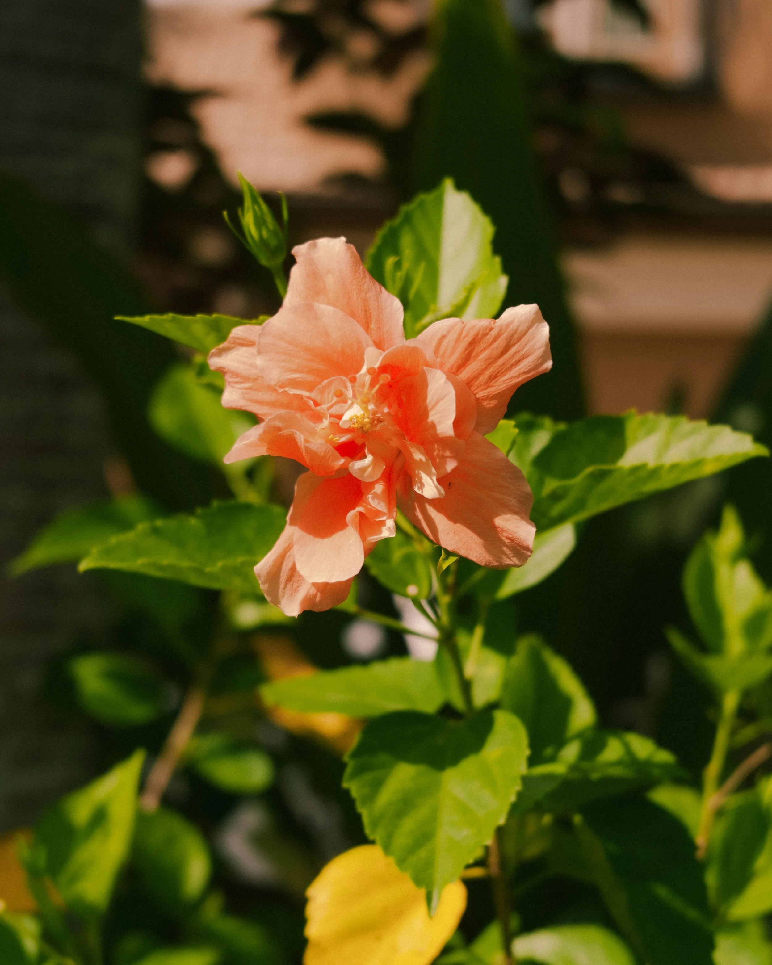 Port Saint Lucie, Florida 