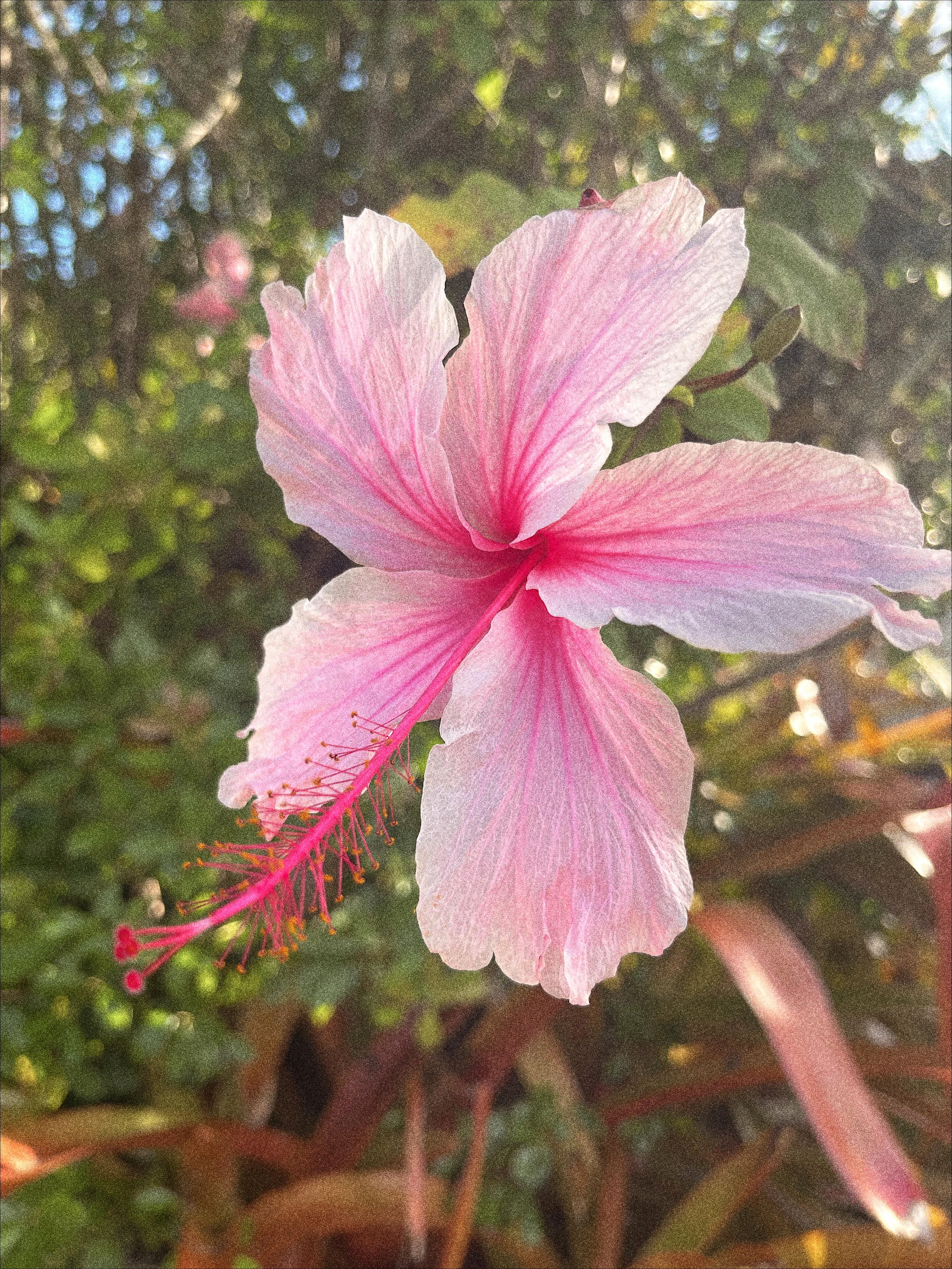 Port Saint Lucie, Florida