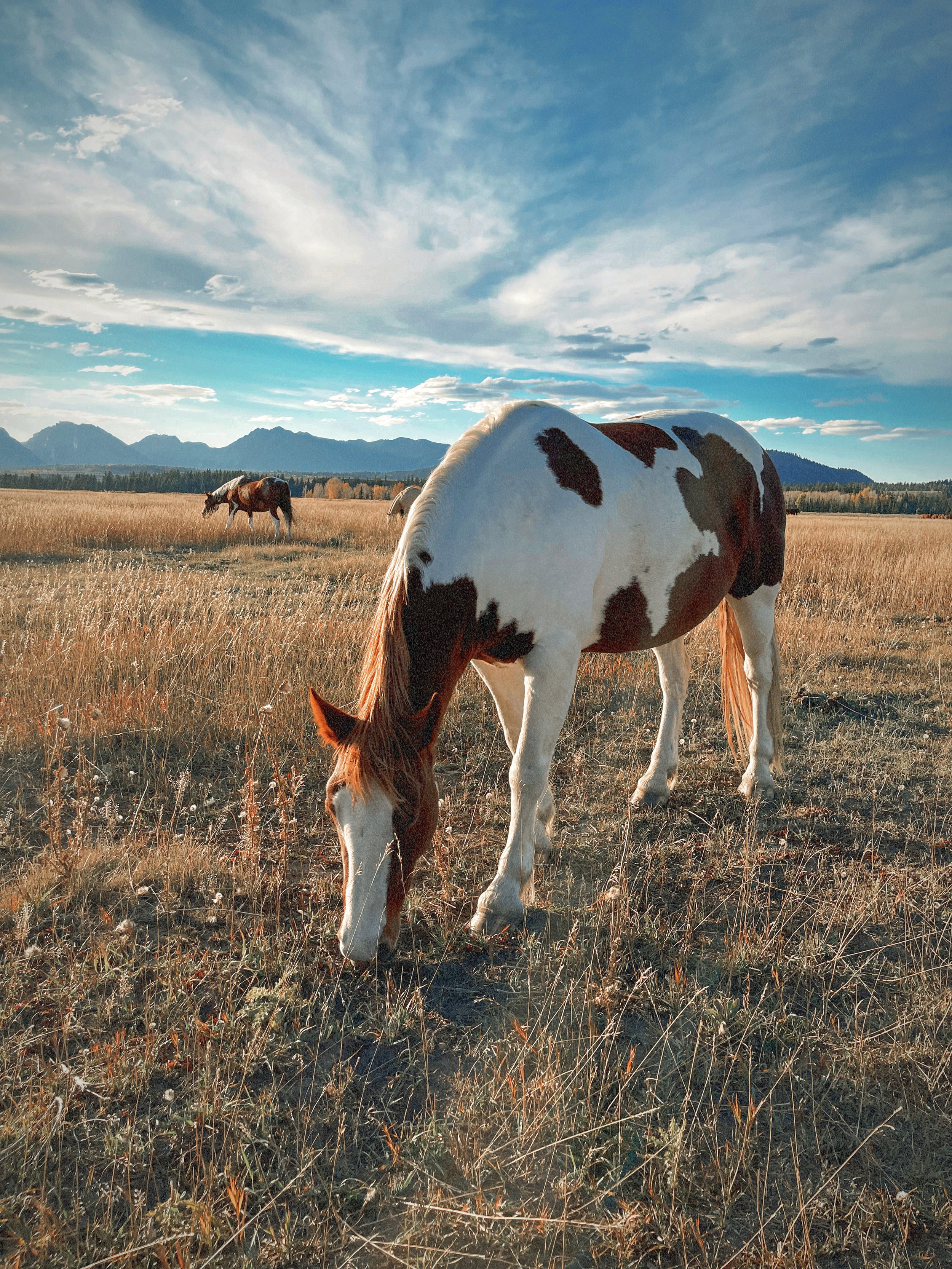 Grand Teton National Park, Wyoming 