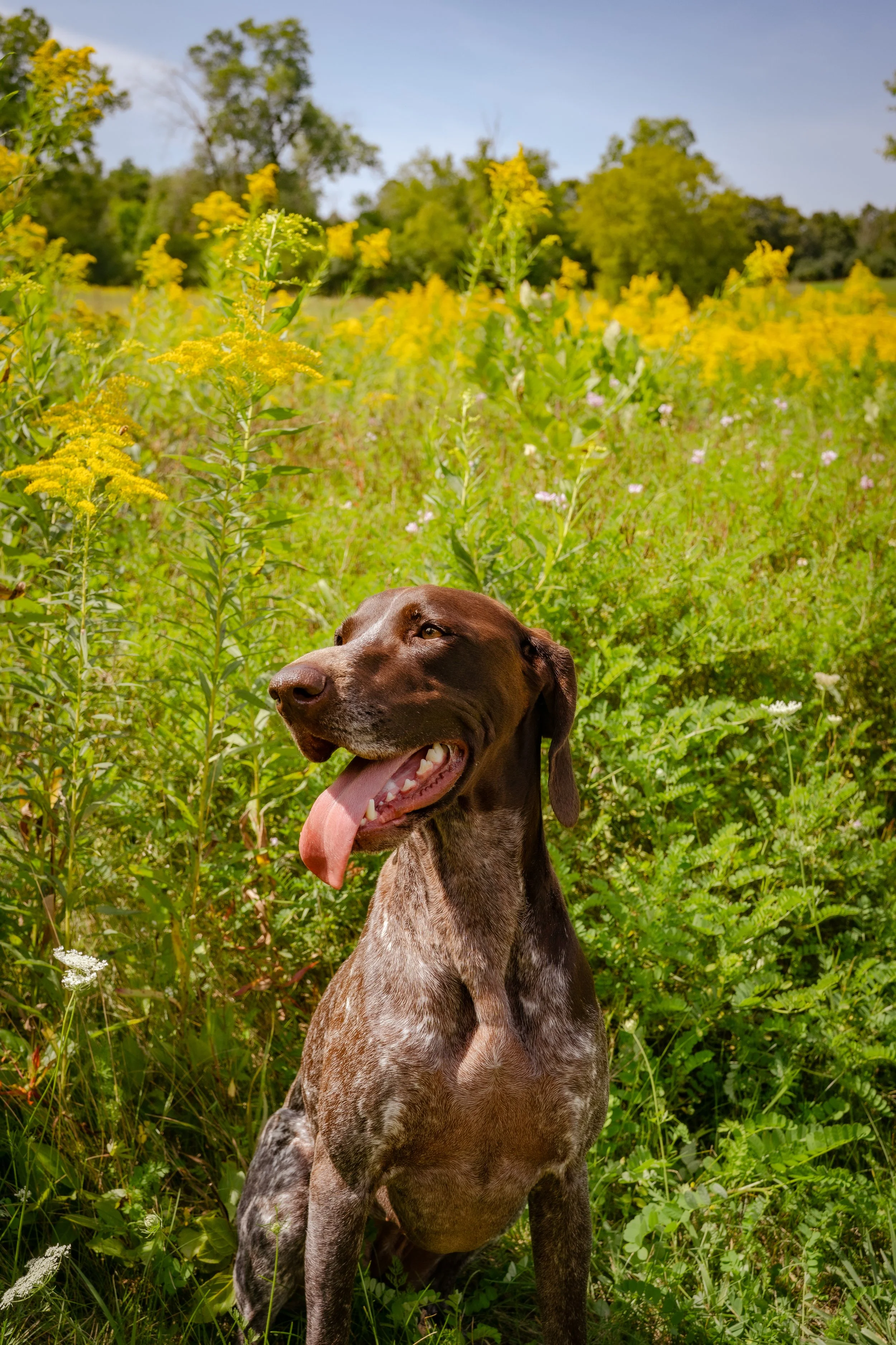 Milwaukee, Wisconsin