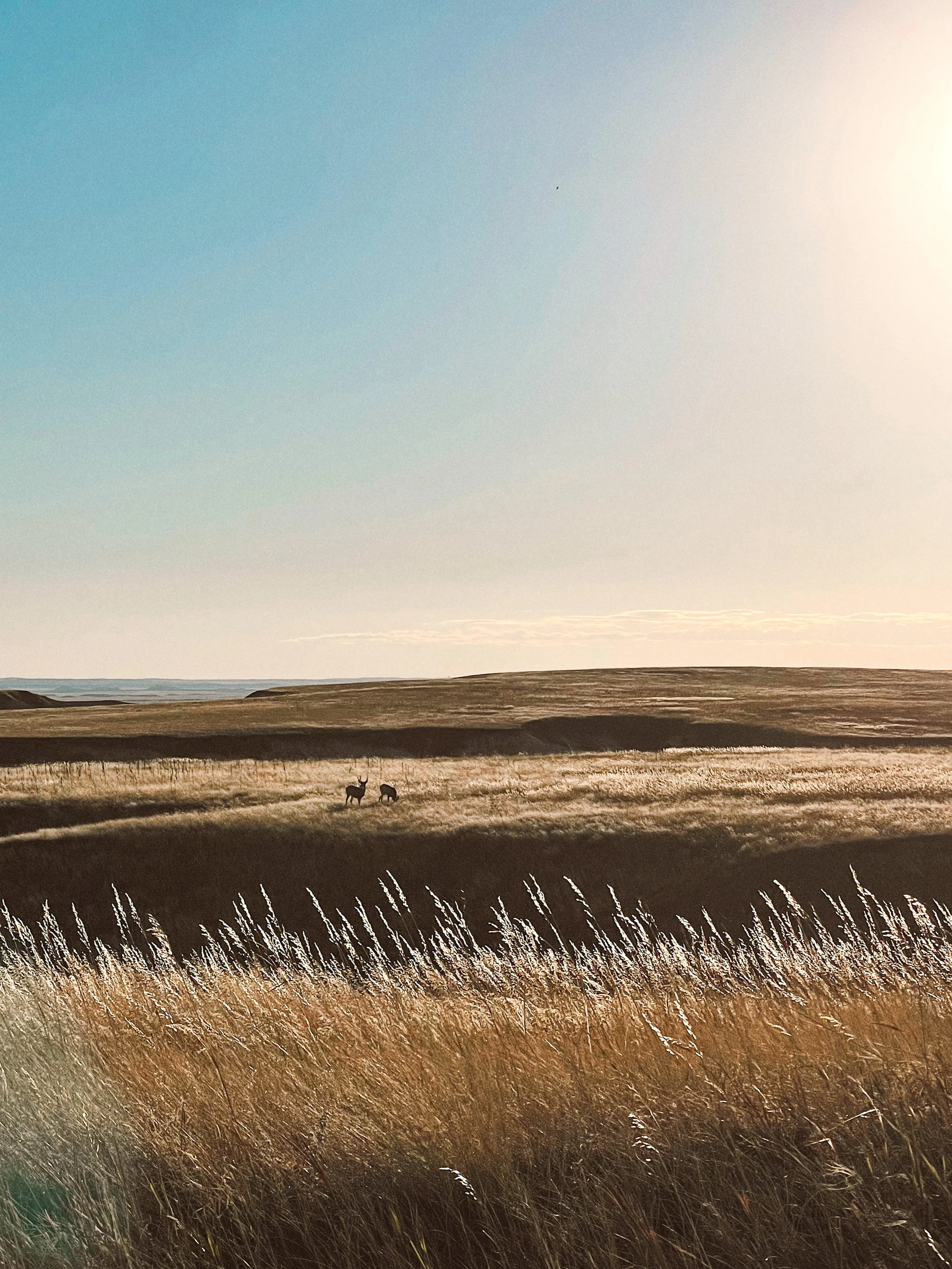 Badlands National Park, South Dakota