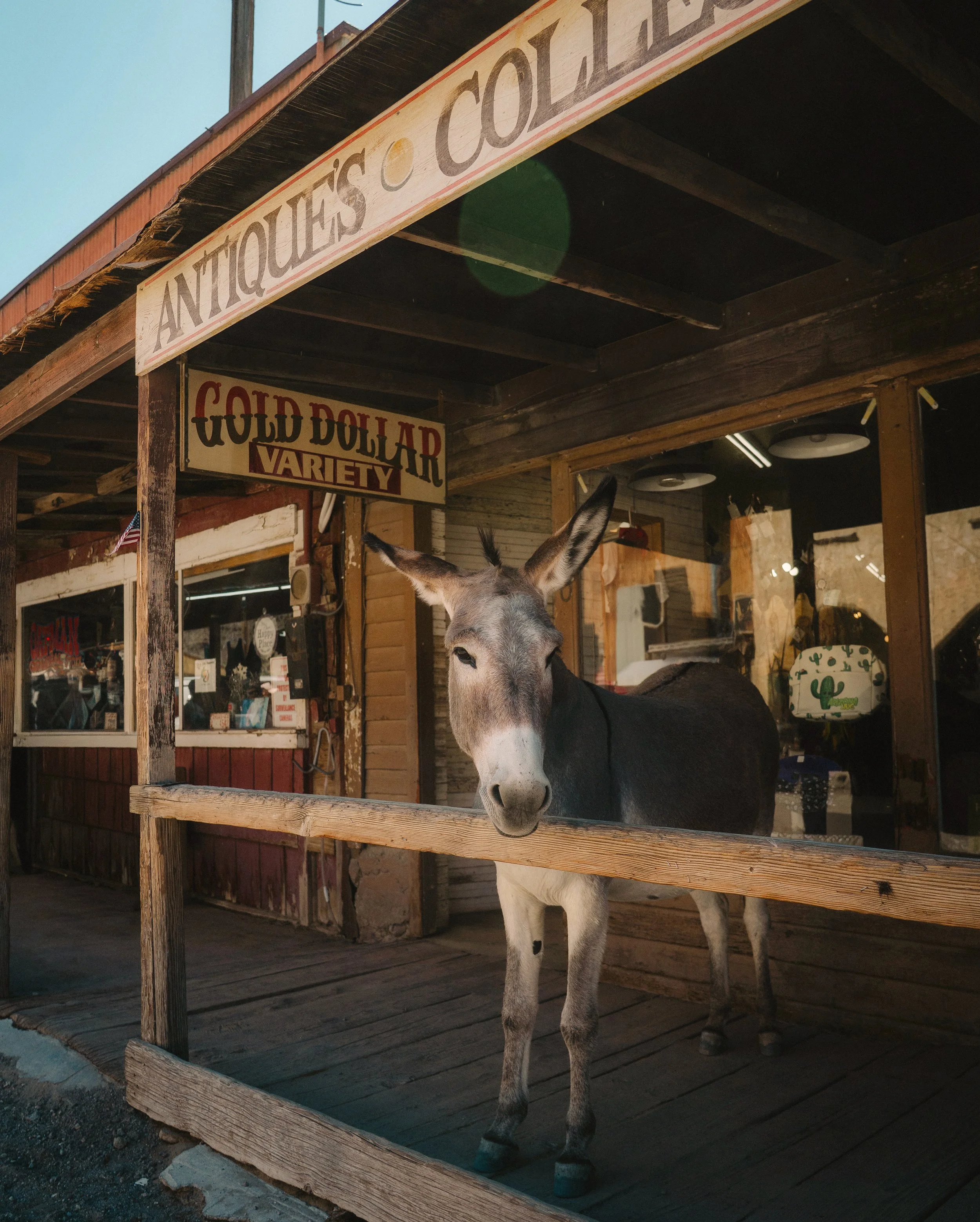 Oatman, Arizona