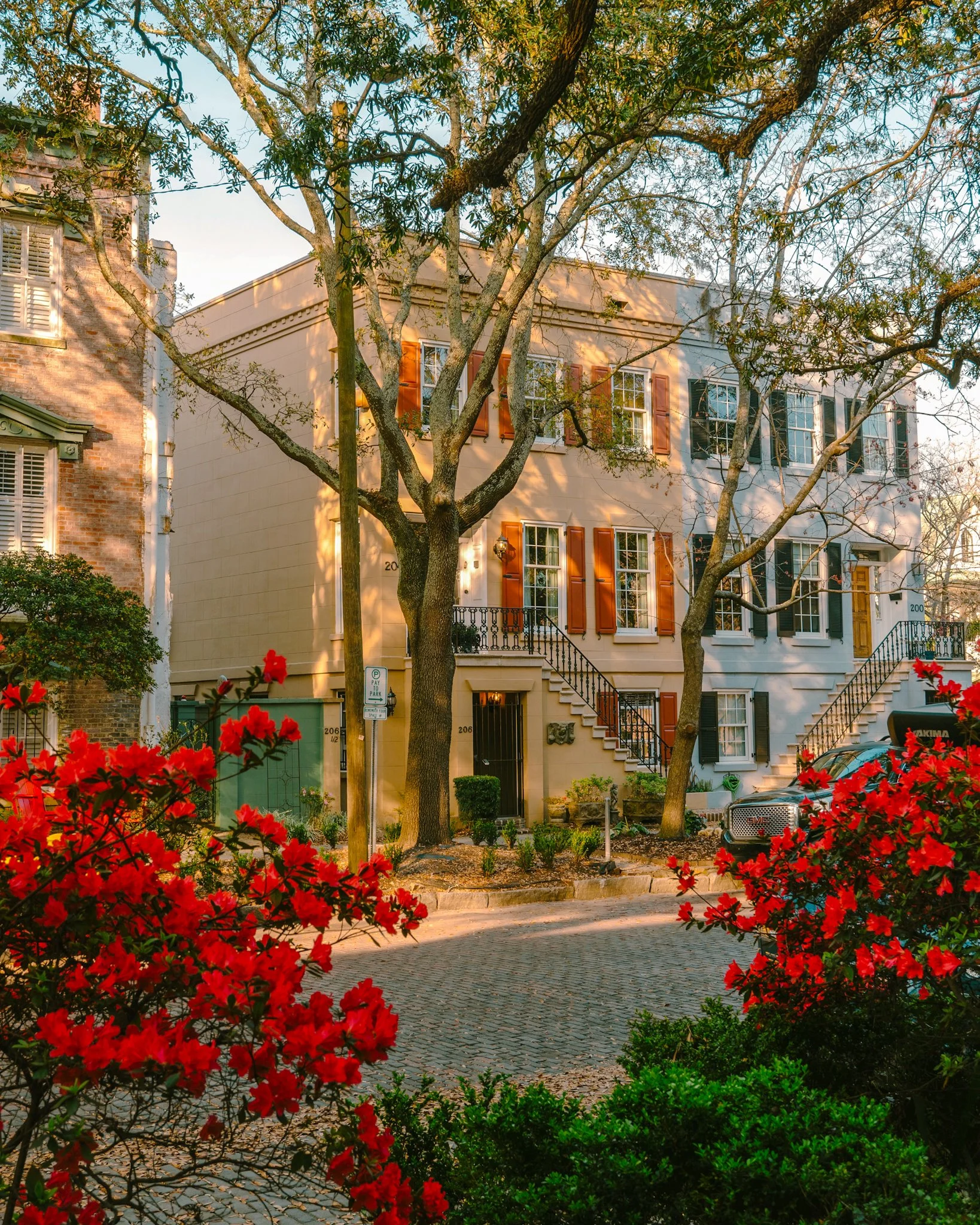 Portfolio — Digital