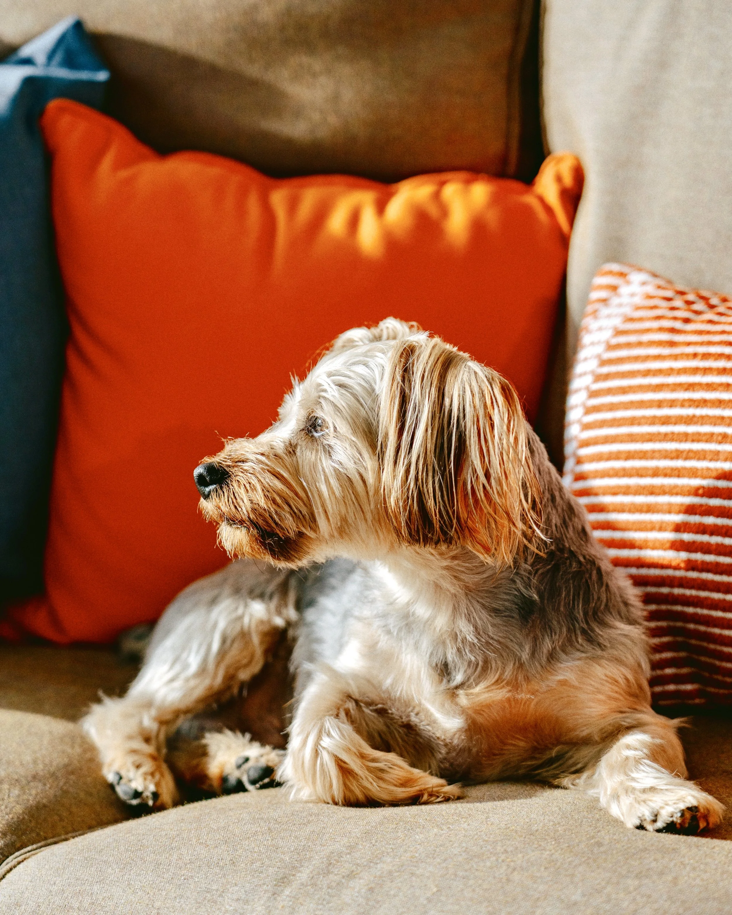 Port Saint Lucie, Florida 