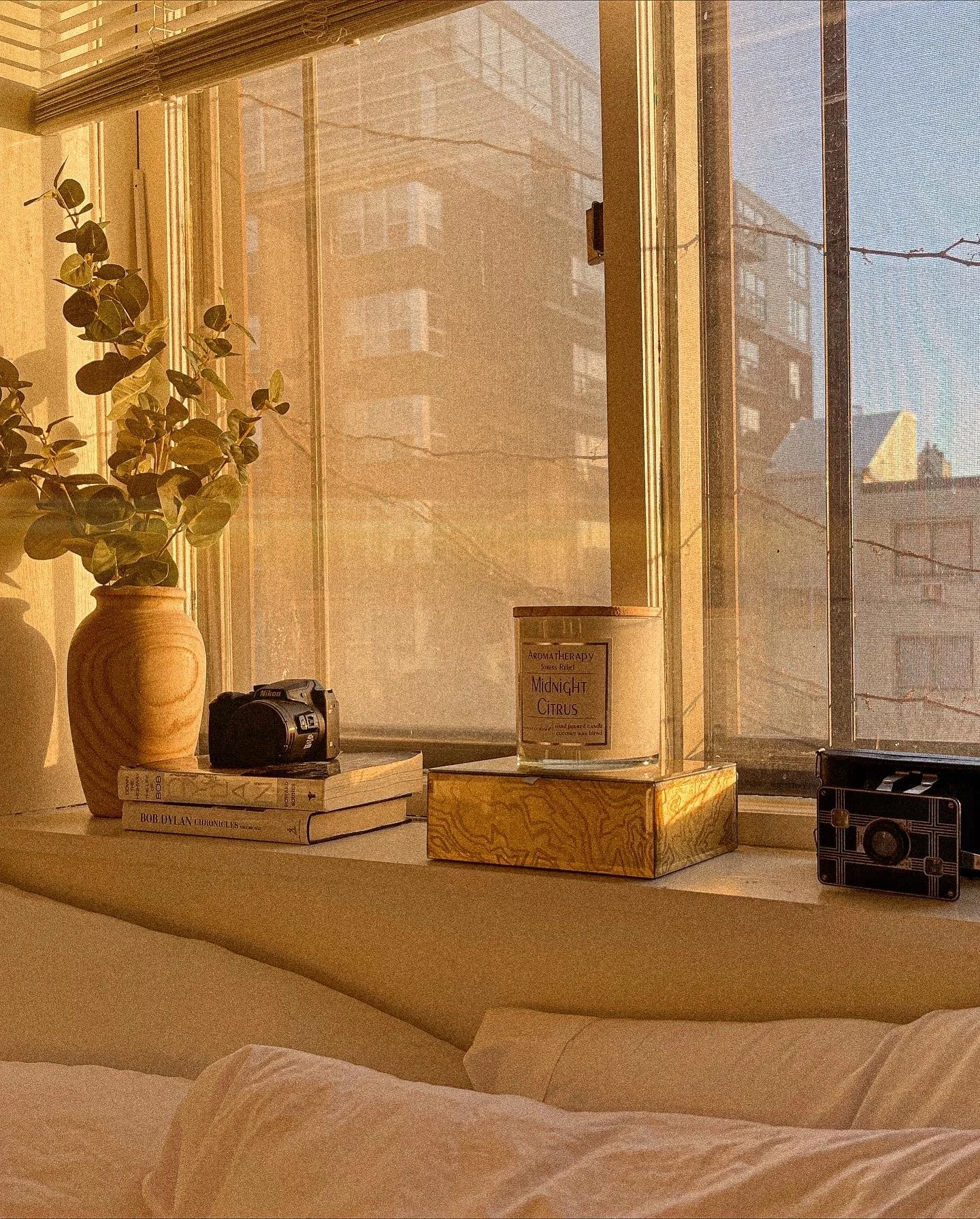 There is an essence of comfort that comes from window sills dressed with a few of my favorite things. A space should be a reflection of you - hobbies, photographs alongside the camera that snapped them, books with the type of wear and tear that shows