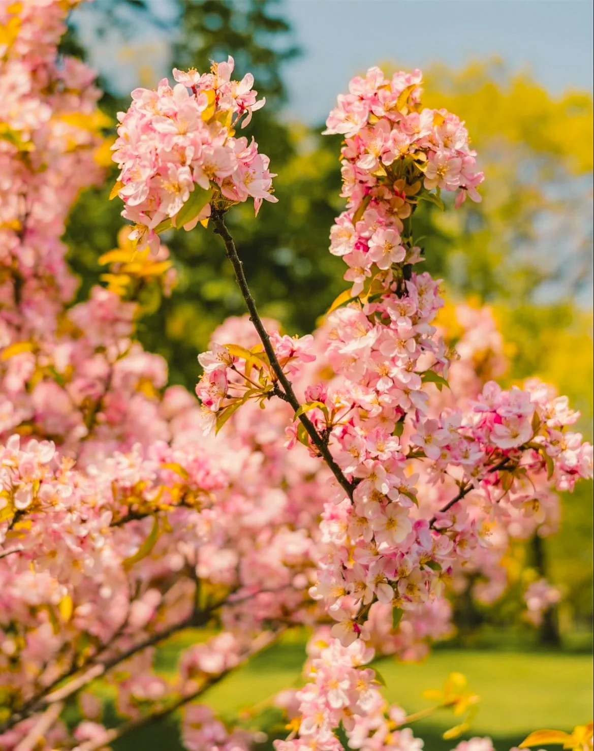 Milwaukee, Wisconsin 