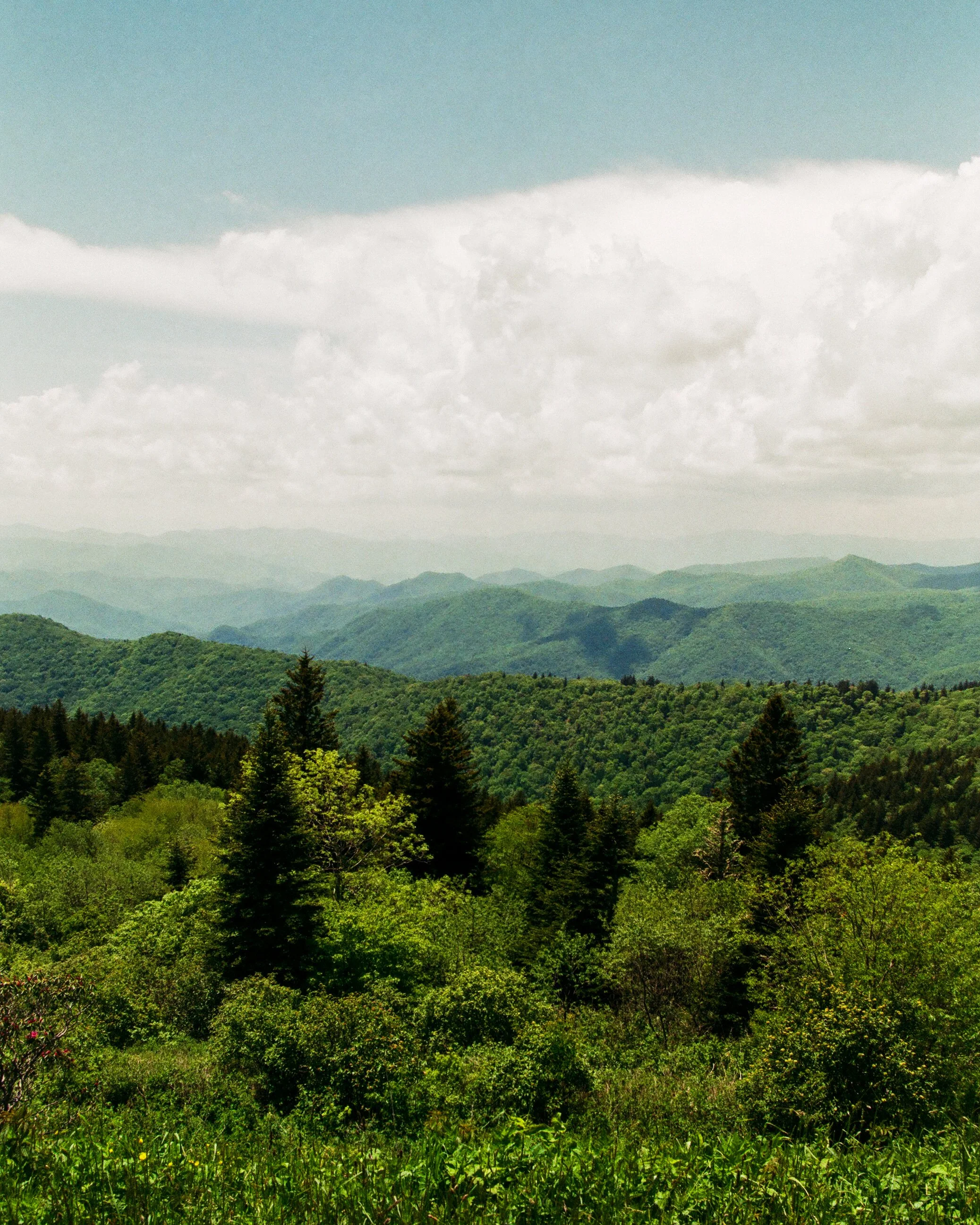 Great Smoky Mountains, Tennessee