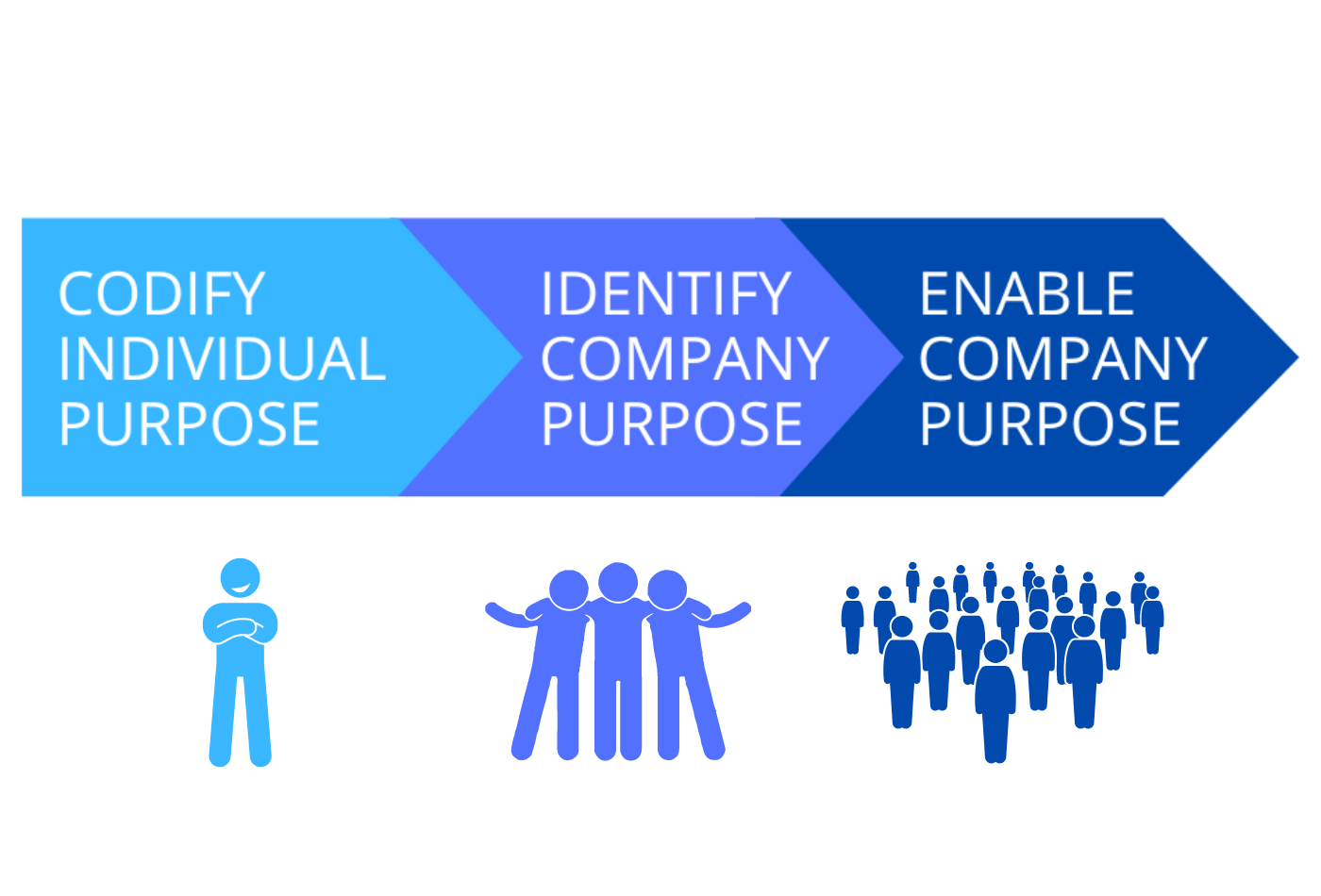 Purposedriven Academy