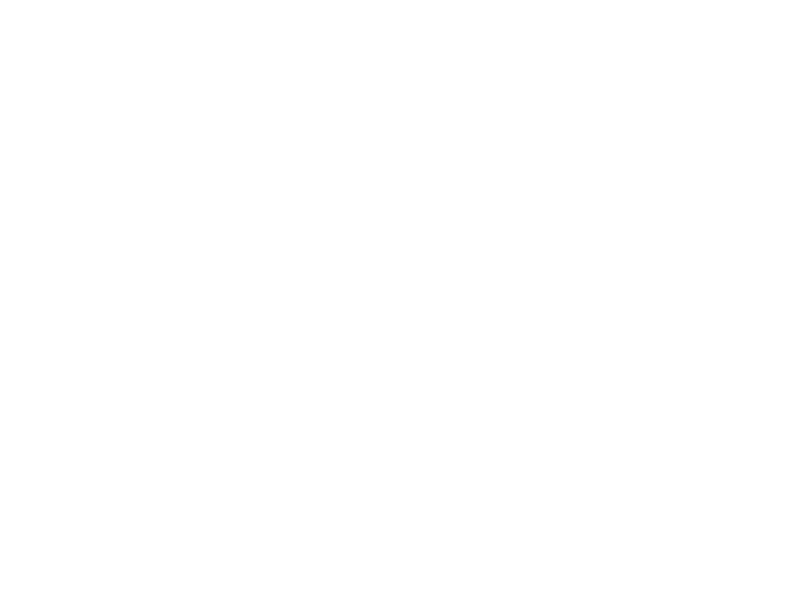 Allies &amp; Co.