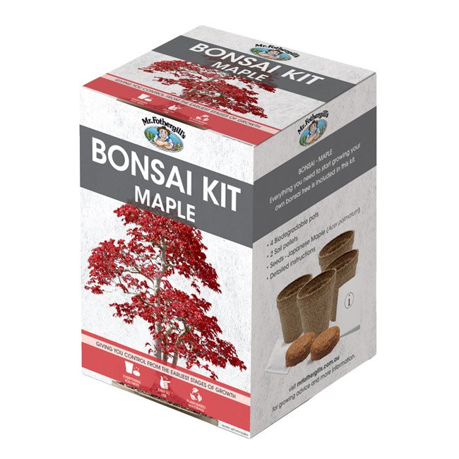 Bonsai-Maple-2__09954.jpg
