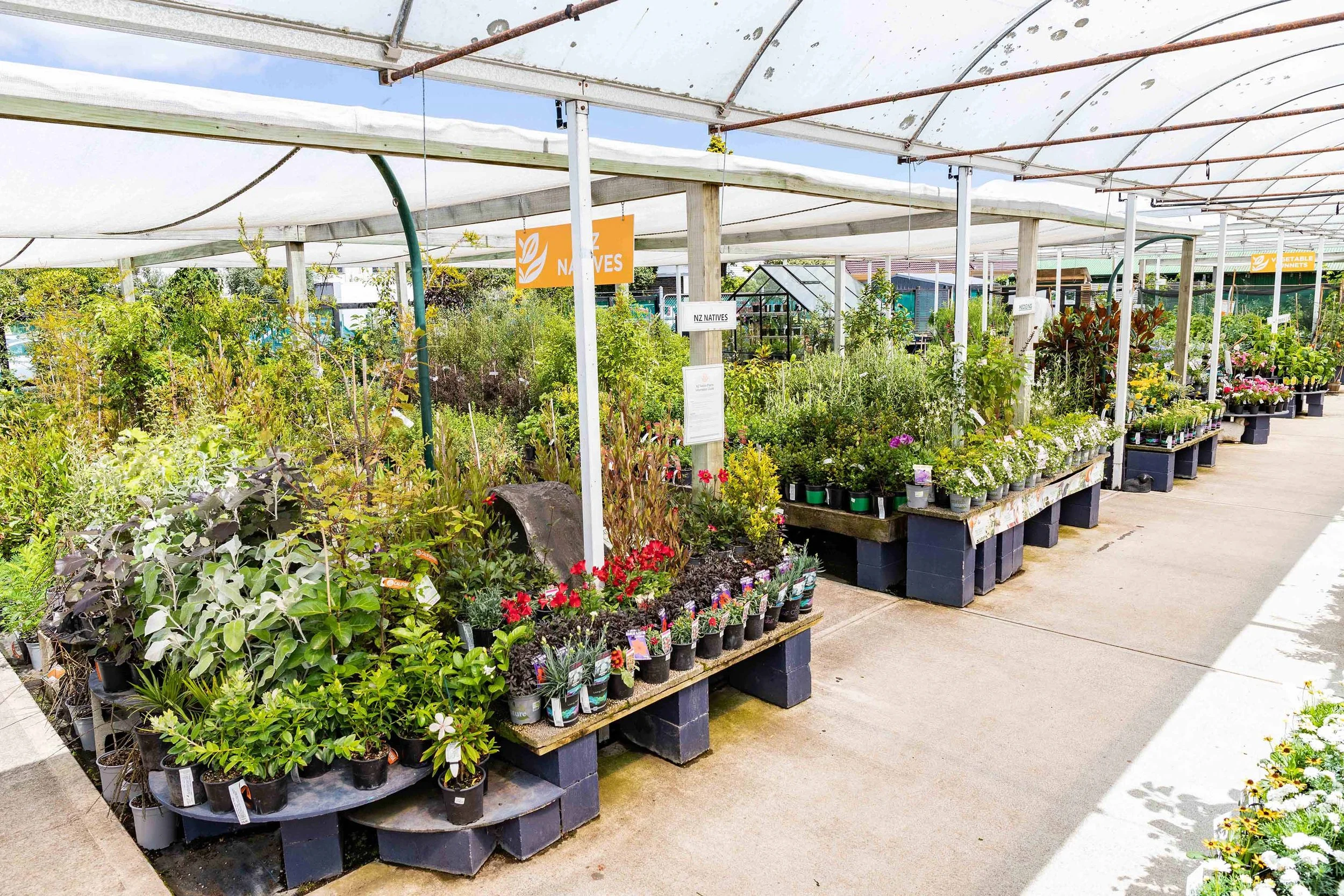 Plants — California Home & Garden