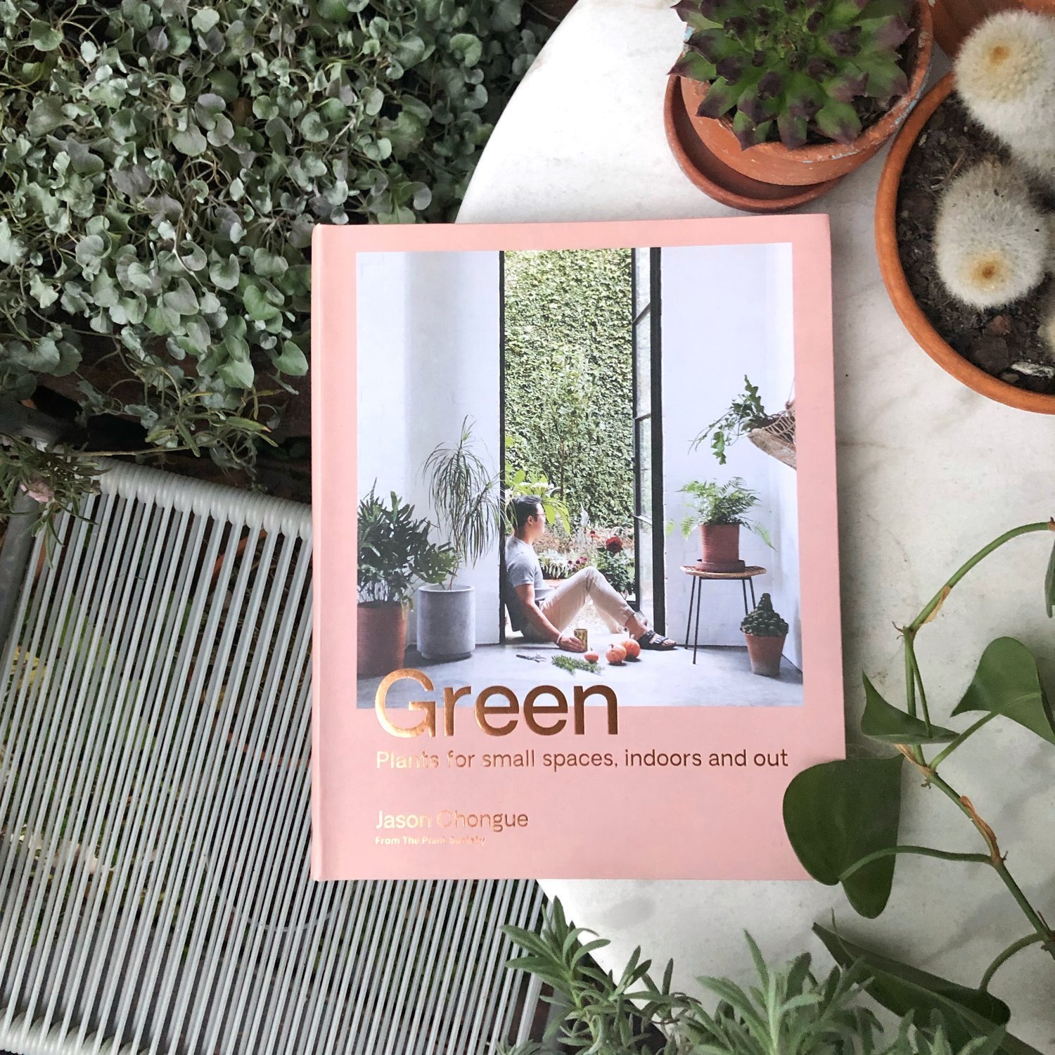 Green_The%252BPlant%252BSociety_Jason%252BChongue.jpg