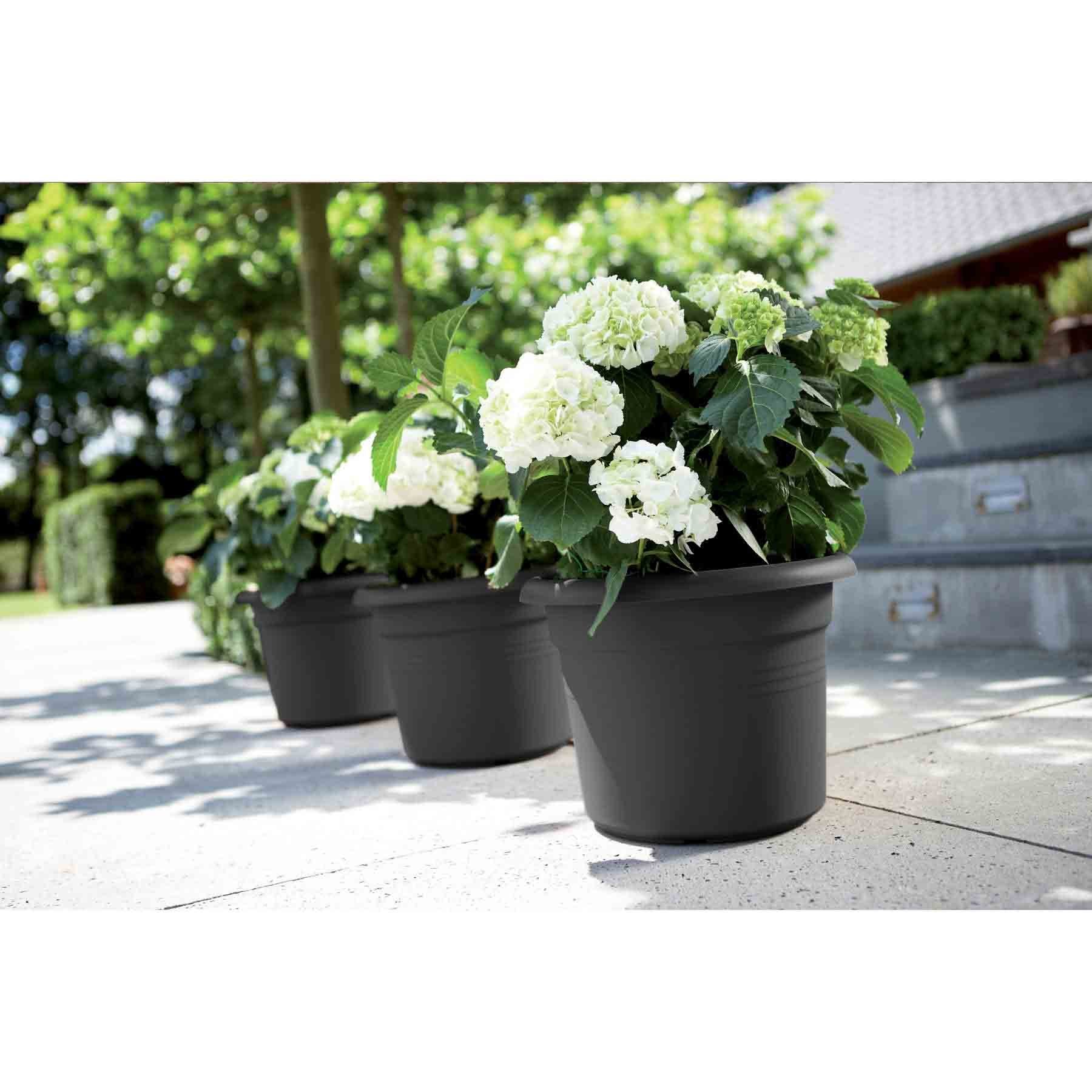 green%252Bbasics%252Bcilinder%252Bblack2.jpg