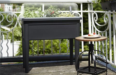 Green_Basics_Grow_Table_House.jpg