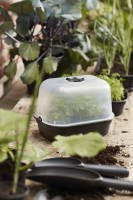 green_basics_grow_house_small_with_grow_tray.i4.jpg