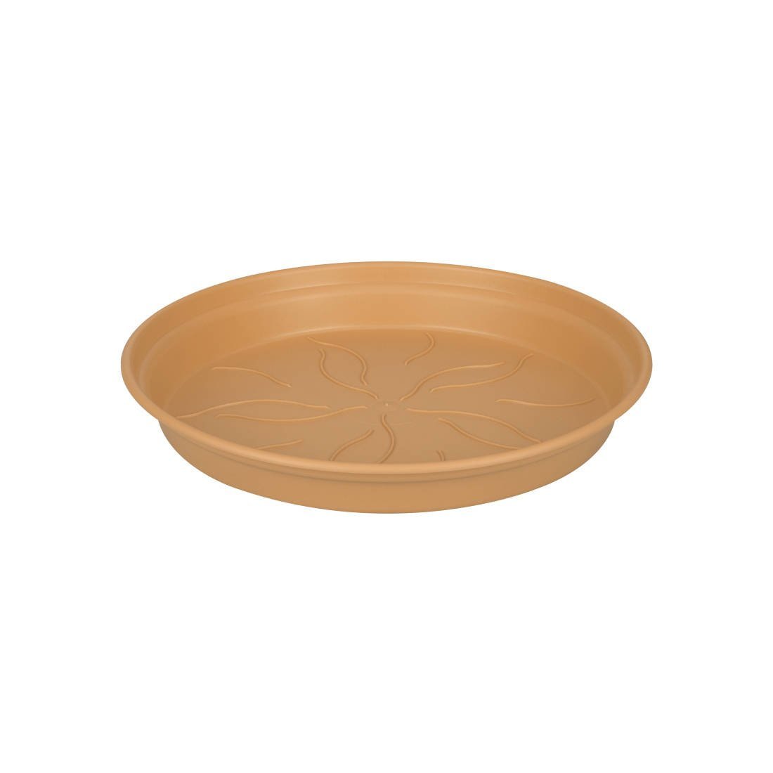 green%252Bbasics%252Bsaucer%252B22cm%252Bmild%252Bterra.jpg