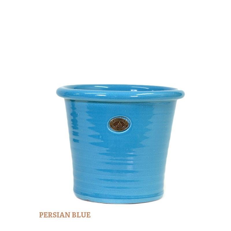 persian_blue.jpg