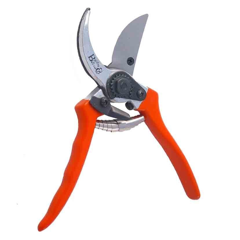 Bypass%2BSecateur%2B-%2BBlade%2BOpen%2B2%2B%2528cut%2Bout%2529.jpg