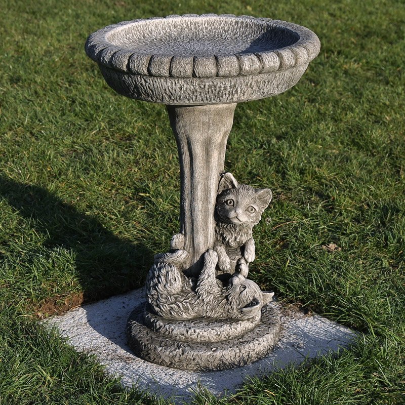 Kitten Birdbath.jpeg