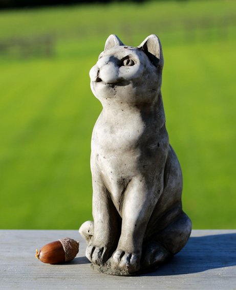 mini sitting cat.jpeg