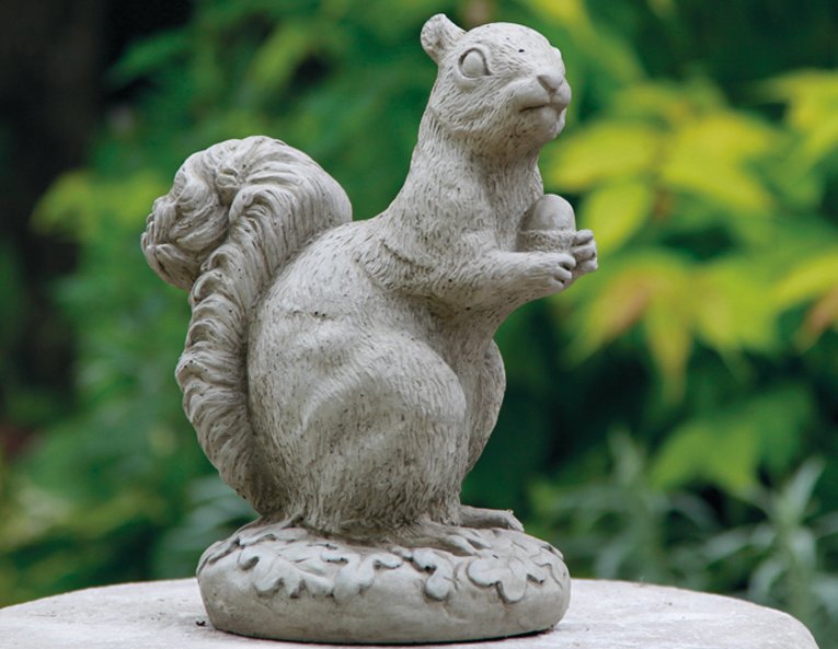 sitting squirrel.jpeg
