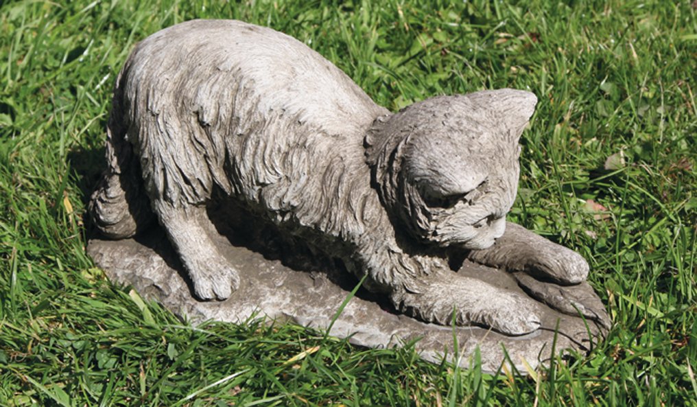 ct27-kitten-with-leaf.jpeg