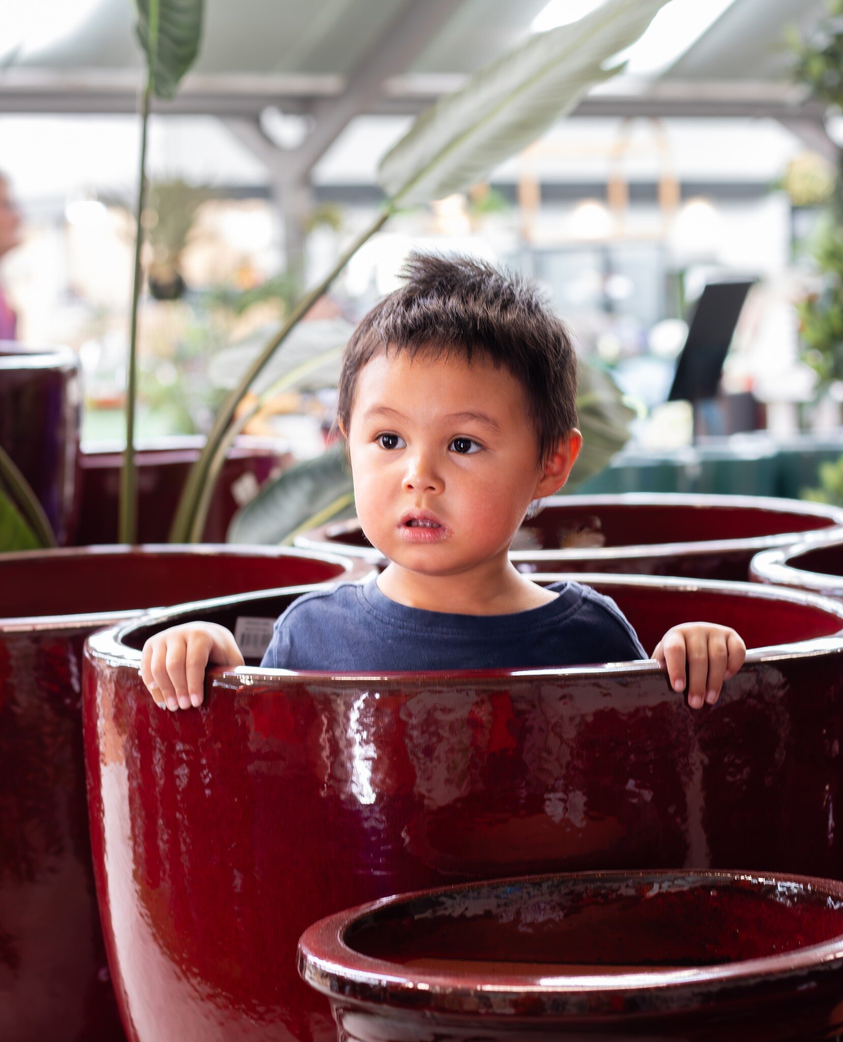 Meet Charlie 👋 He sure loves his Grandad&rsquo;s pots! 💚🪴

Charlie is part of the next generation to lend a helping hand at our family-run garden centre. Can you see where we drew inspiration from for this photo? The two following ads are from 199