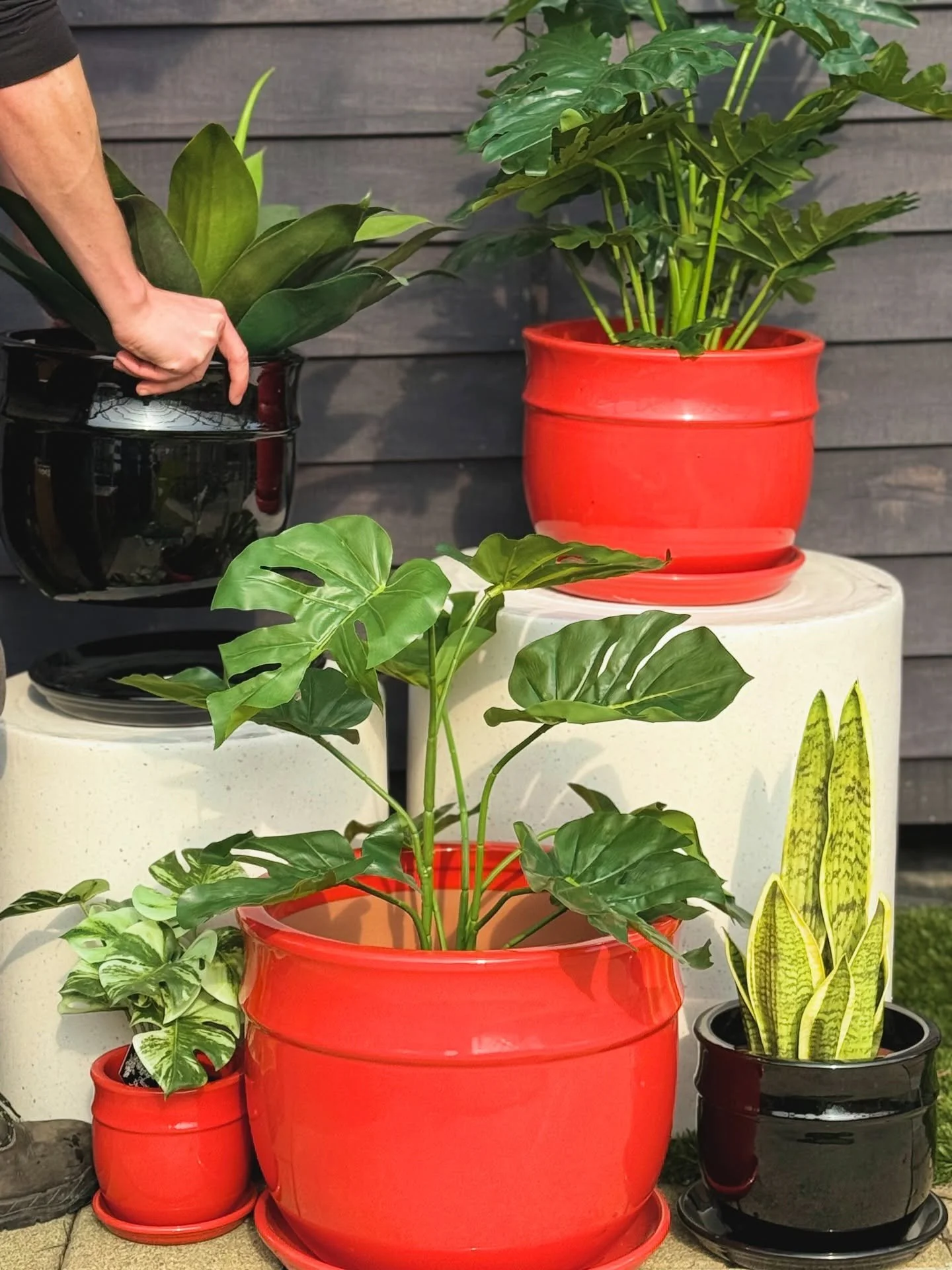 Keen to give your plants a glow-up? 🌿 

Our glazed belly pots are a true classic(matching saucers available) and Jayda planters come with chic wooden stands are just what your greenery&rsquo;s been waiting for. They&rsquo;re stylish, timeless, and s