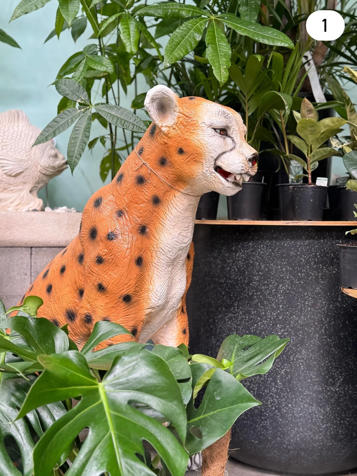 Help Name Our Garden Friends! 🪴
Our adorable Animal sculptures have just arrived but they’re missing one thing: names! 💚
Comment below with your best name idea and tell us why it fits them 👇
We’re giving away one $50 voucher per ani