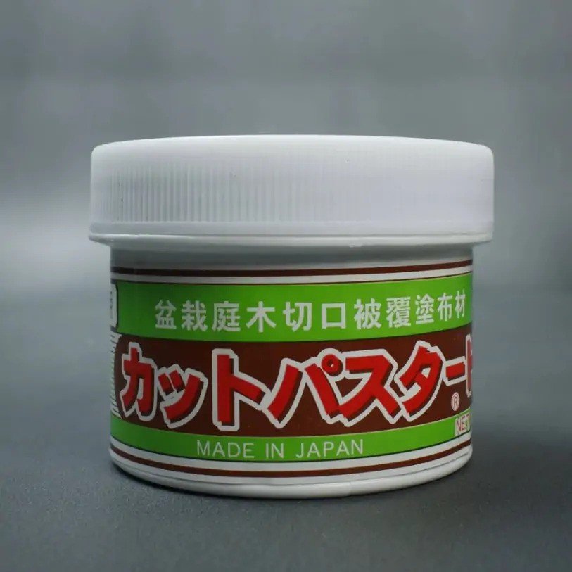 Kikuwa Cut Paste - Deciduous 160g