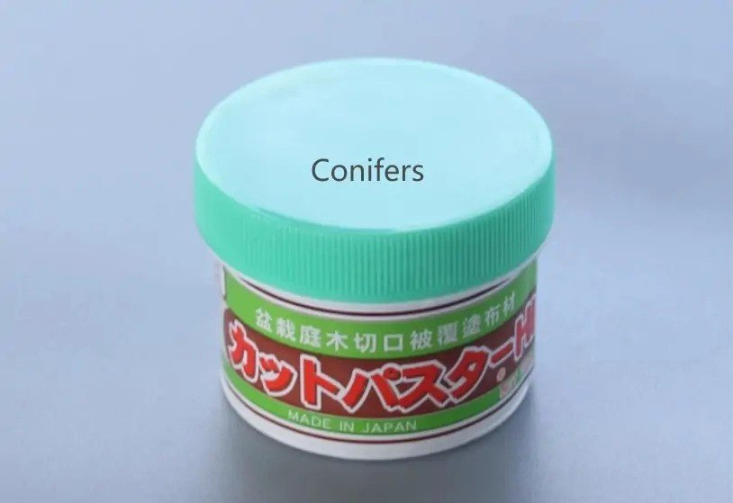 Kikuwa Bonsai Cut Paste - Evergreen/Conifers 160g