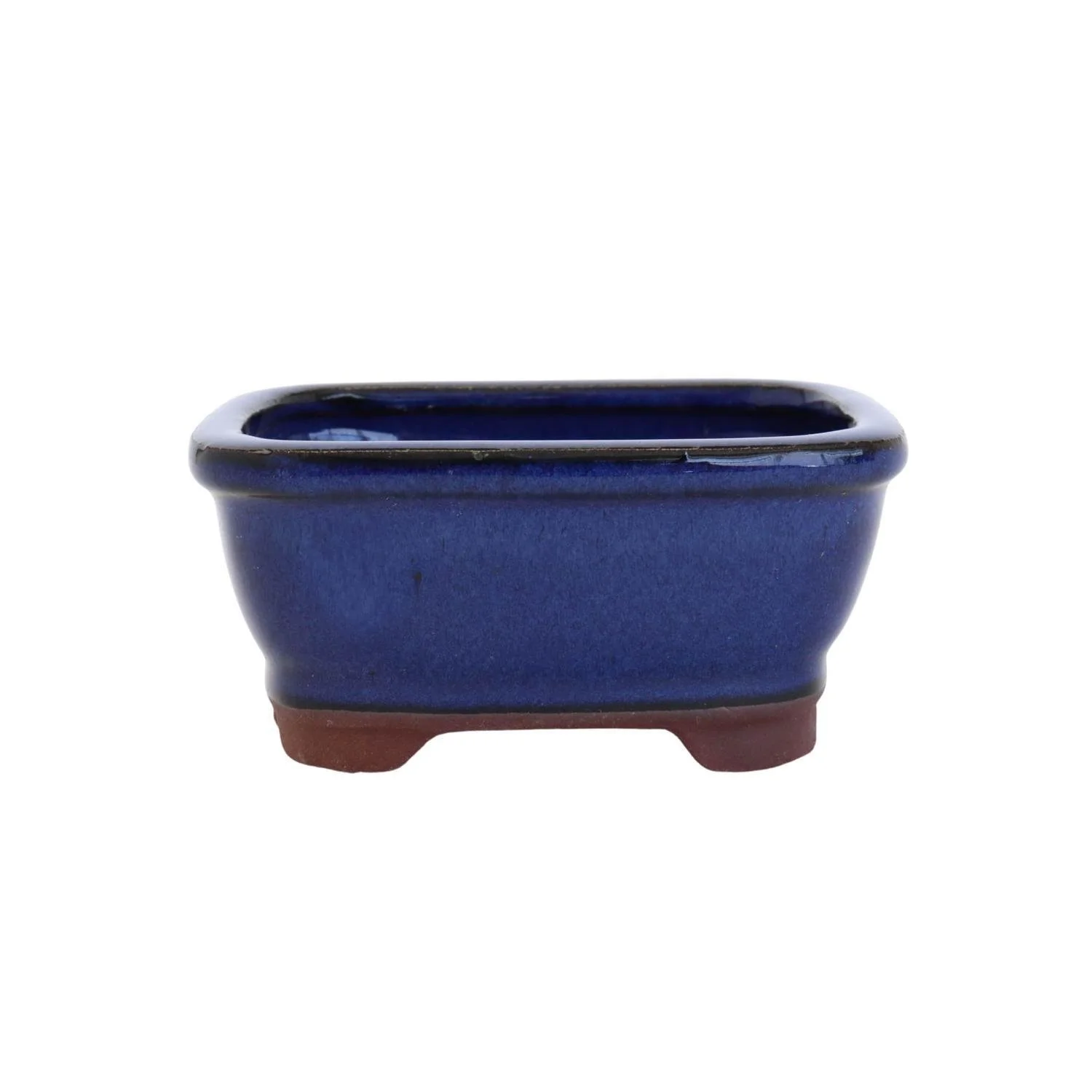 blue 4 inch bonsai.jpg