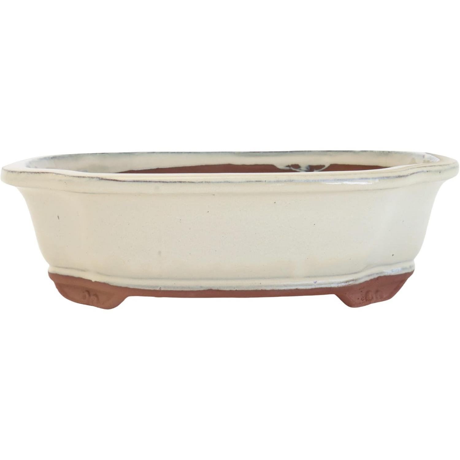 David Lee Bonsai Pot Petal