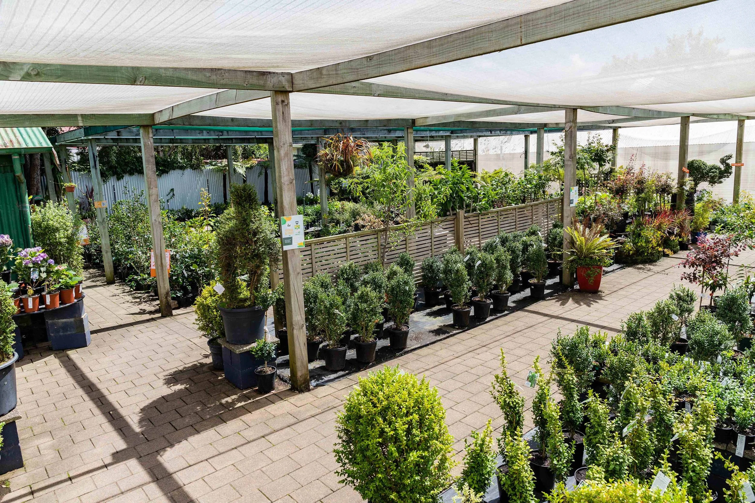 Plants — California Home & Garden