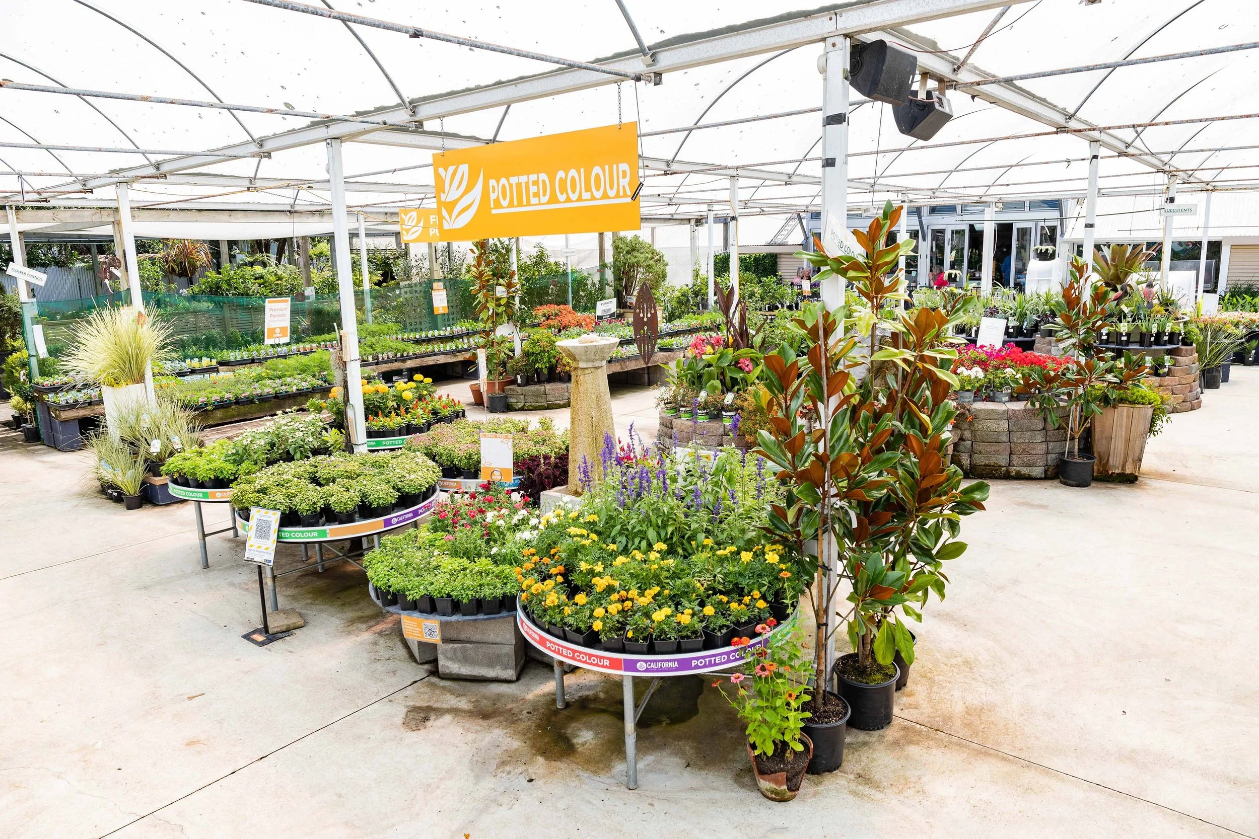 Plants — California Home & Garden