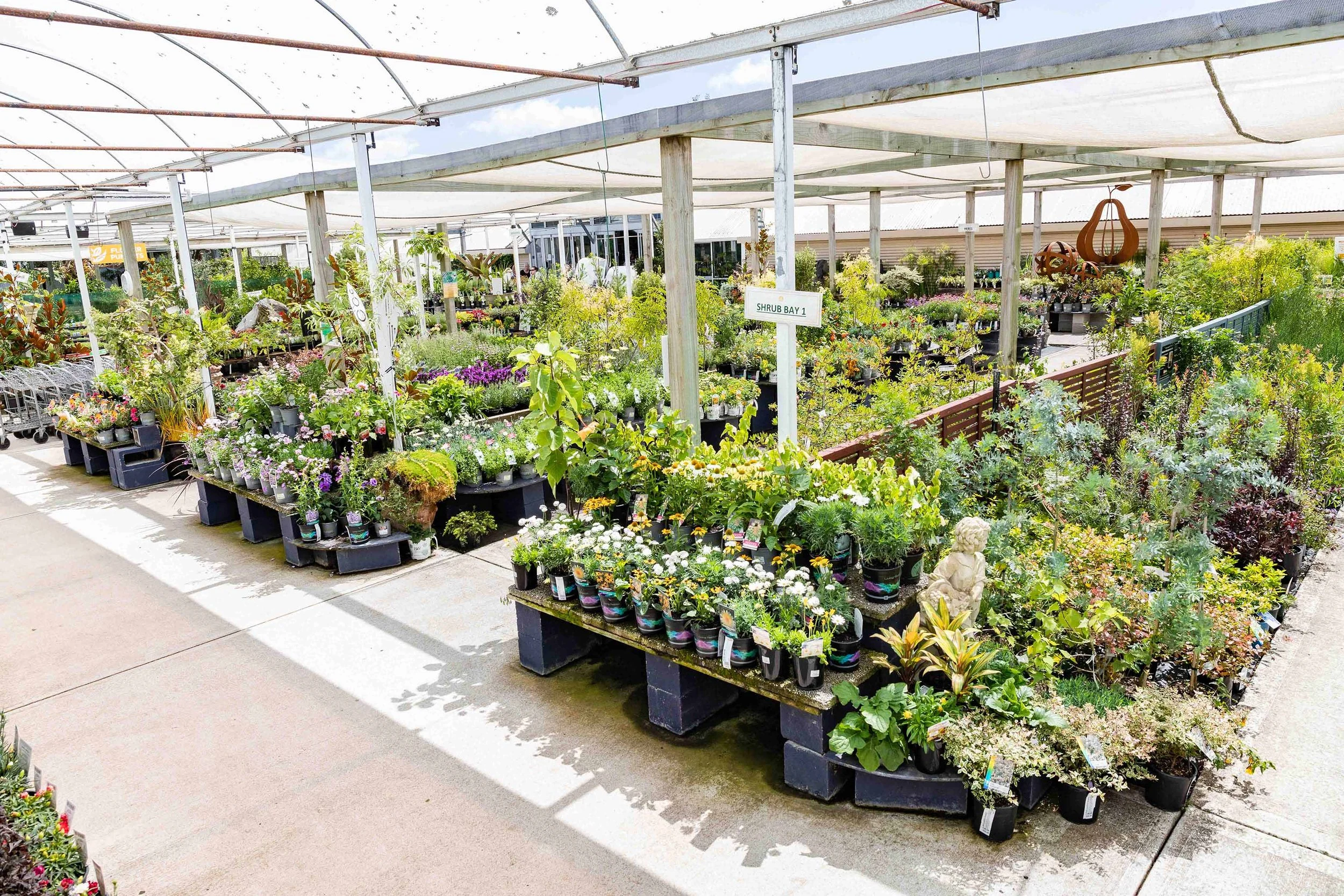 Plants — California Home & Garden