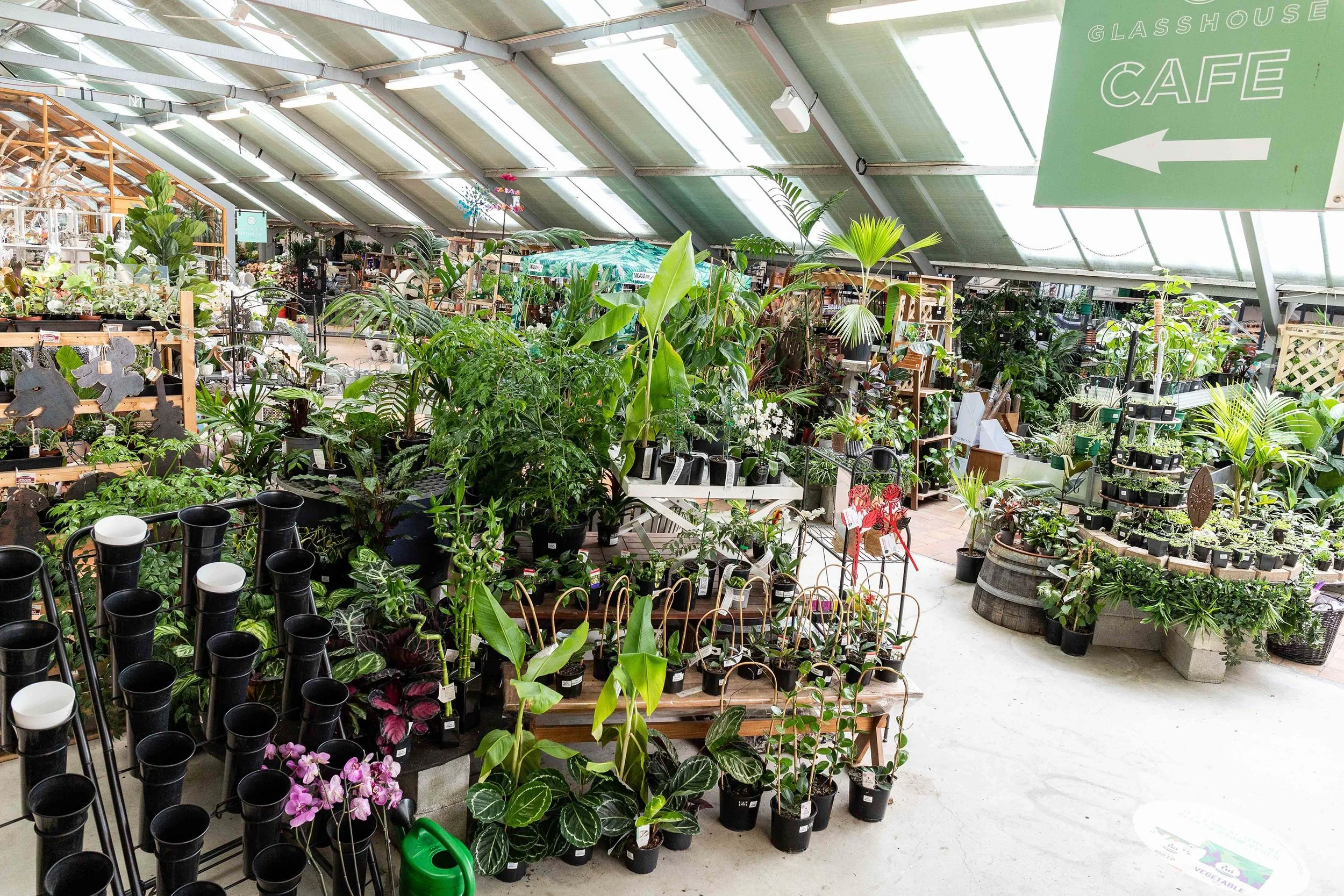 Plants — California Home & Garden