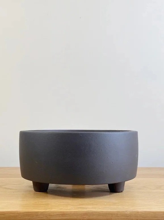Mini Gardens Bonsai Pot Panther