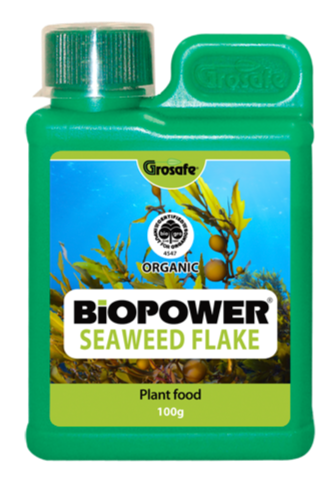 Grosafe-BioPower-Seaweed-Flake-100g-Web-1.png