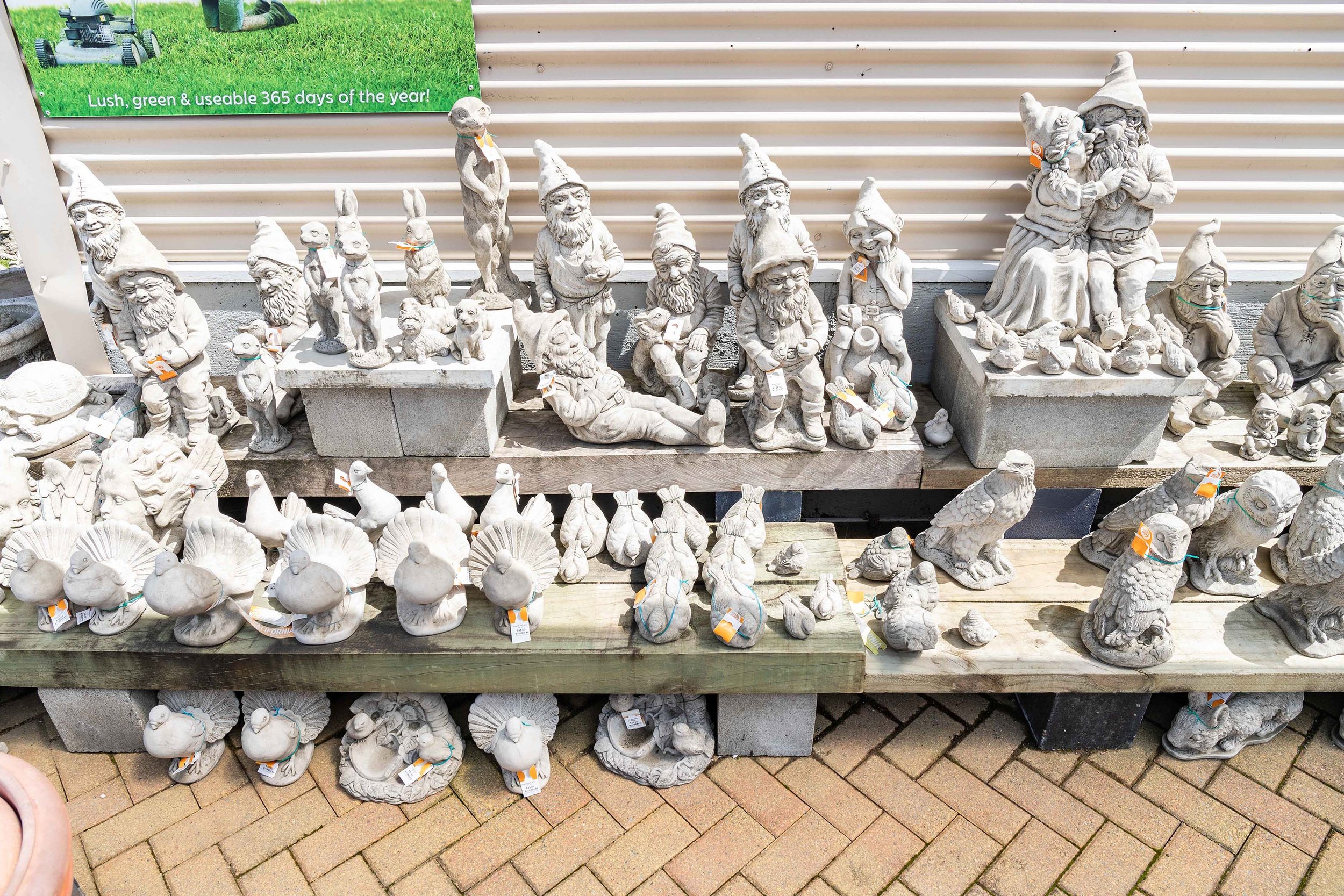 NewWebsite-37.jpg