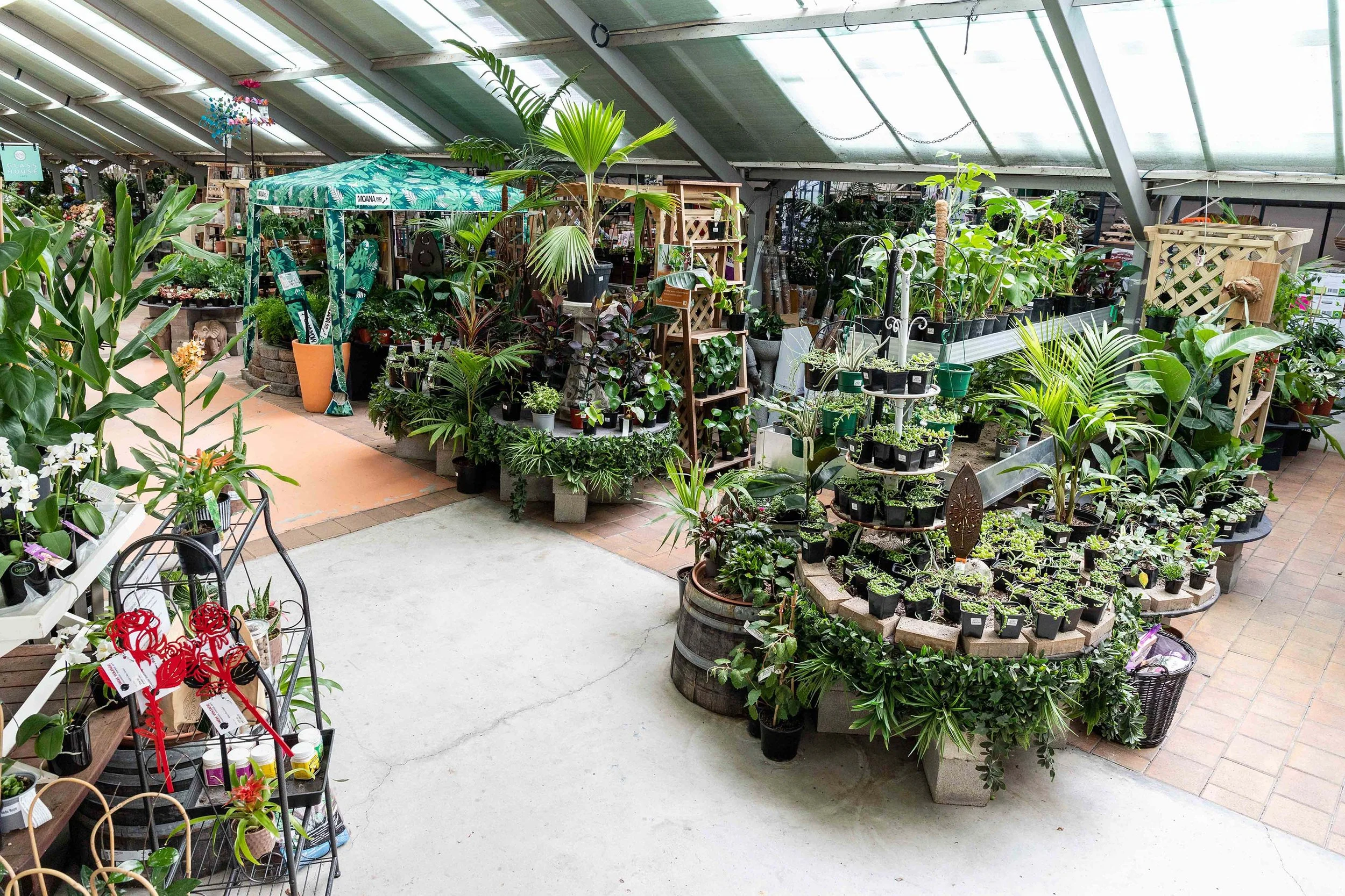 Plants — California Home & Garden