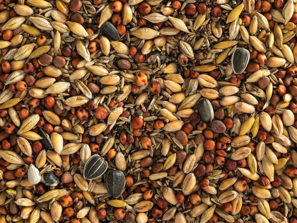 Topflite_WB_WildBirdCoarse_2000x2000-ezgif.com-webp-to-jpg-converter.jpg