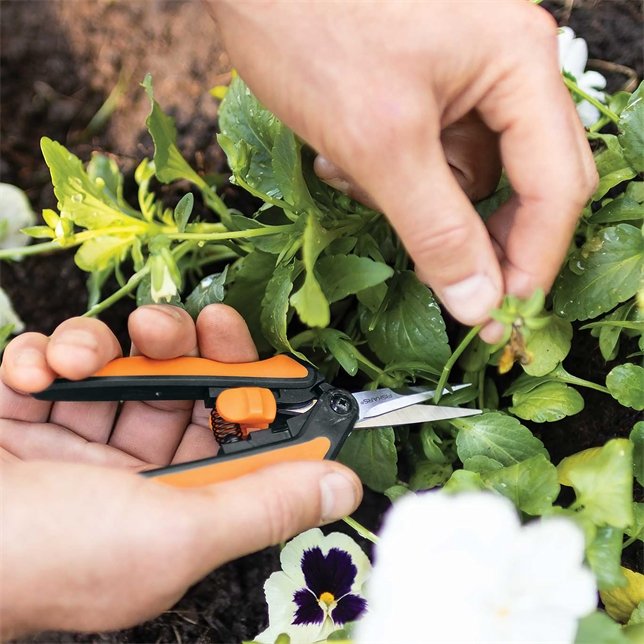 399240-1003_fiskarsamericas_05_micro-tip-pruning-snips.jpg
