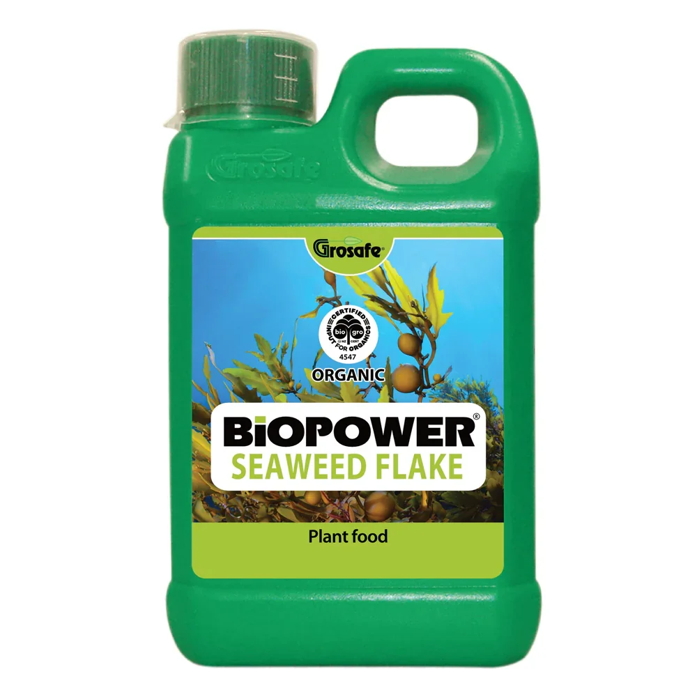 biopower-seaweed-pack.webp