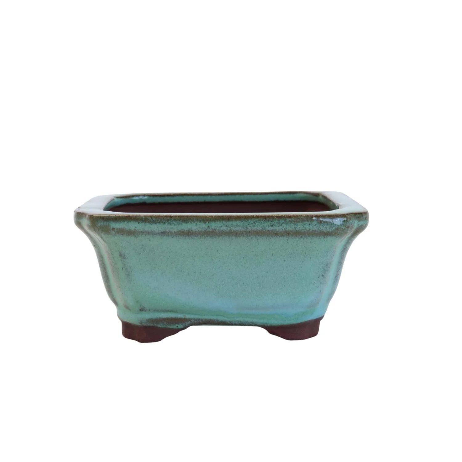 green 4 inch bonsai.jpg