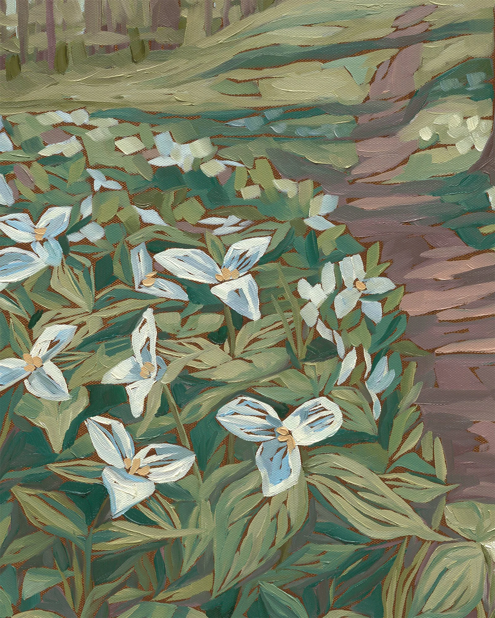 trillium-forest-michigan-wildflowers-aria-detail.jpg