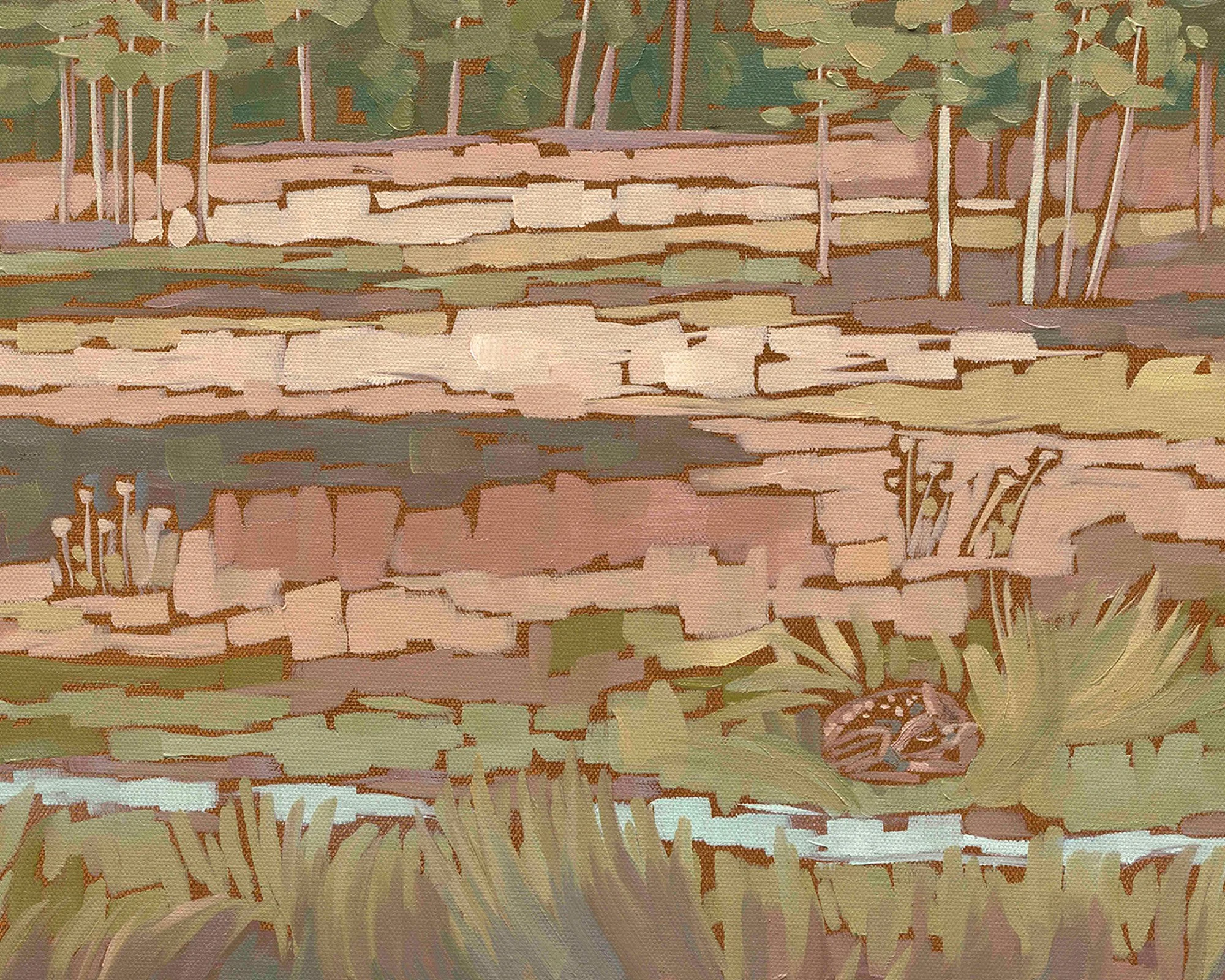meadow-stream-michigan-traverse-city-detail.jpg