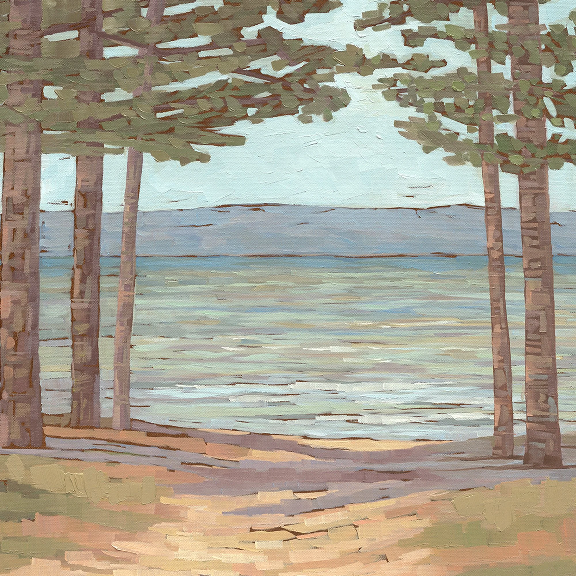 Lake-michigan-shoreline-pine-trees-between-us-detail.jpg