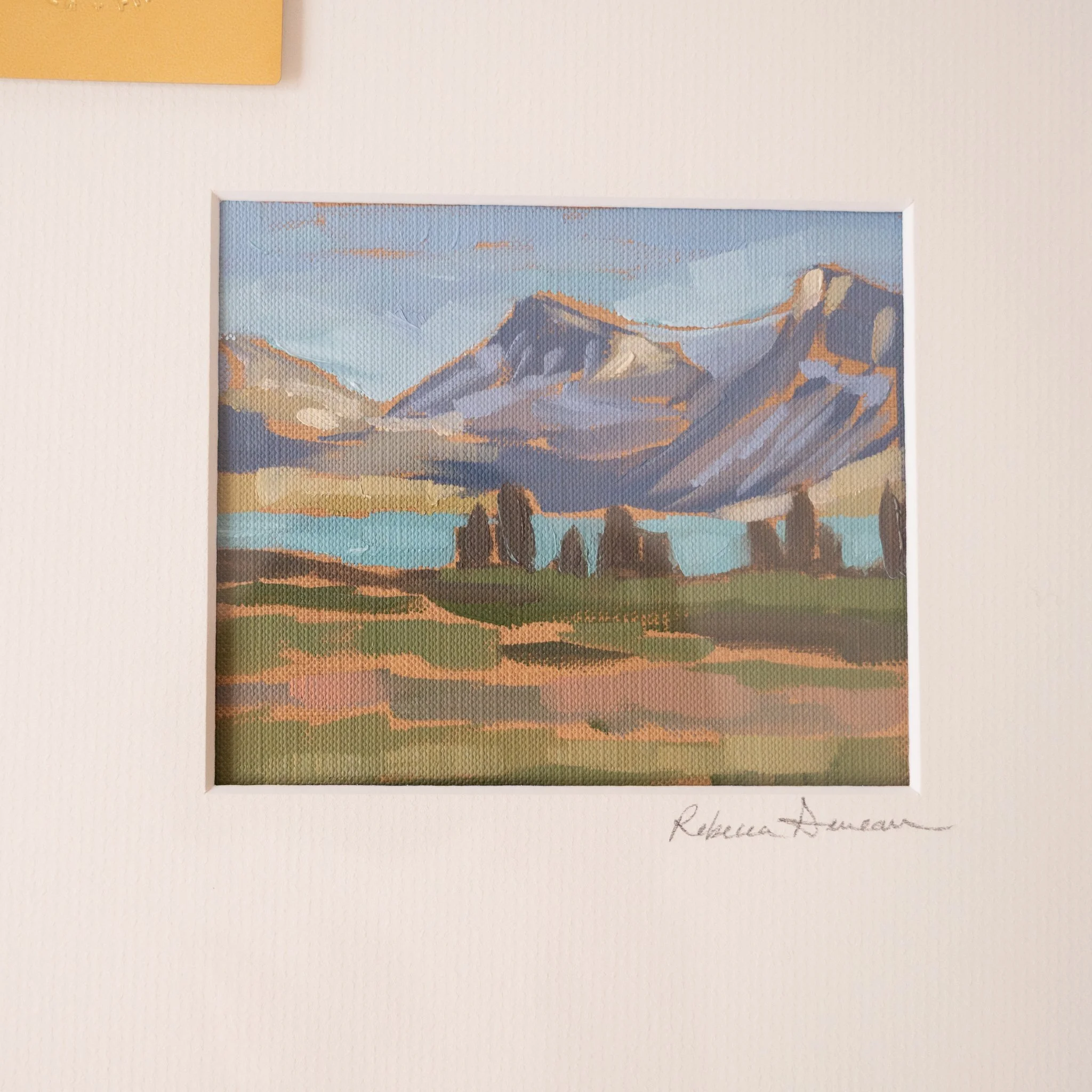 DSC_0536 (1).jpg