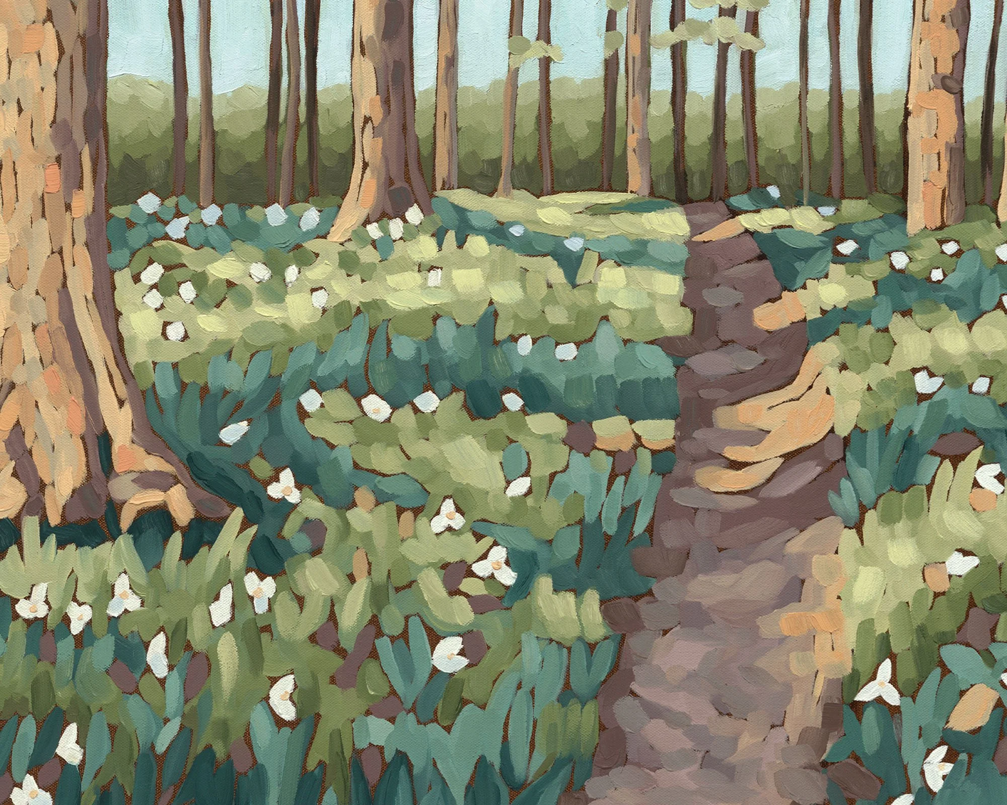 trillium-forest-path-spring-wildflowers-detail.jpg